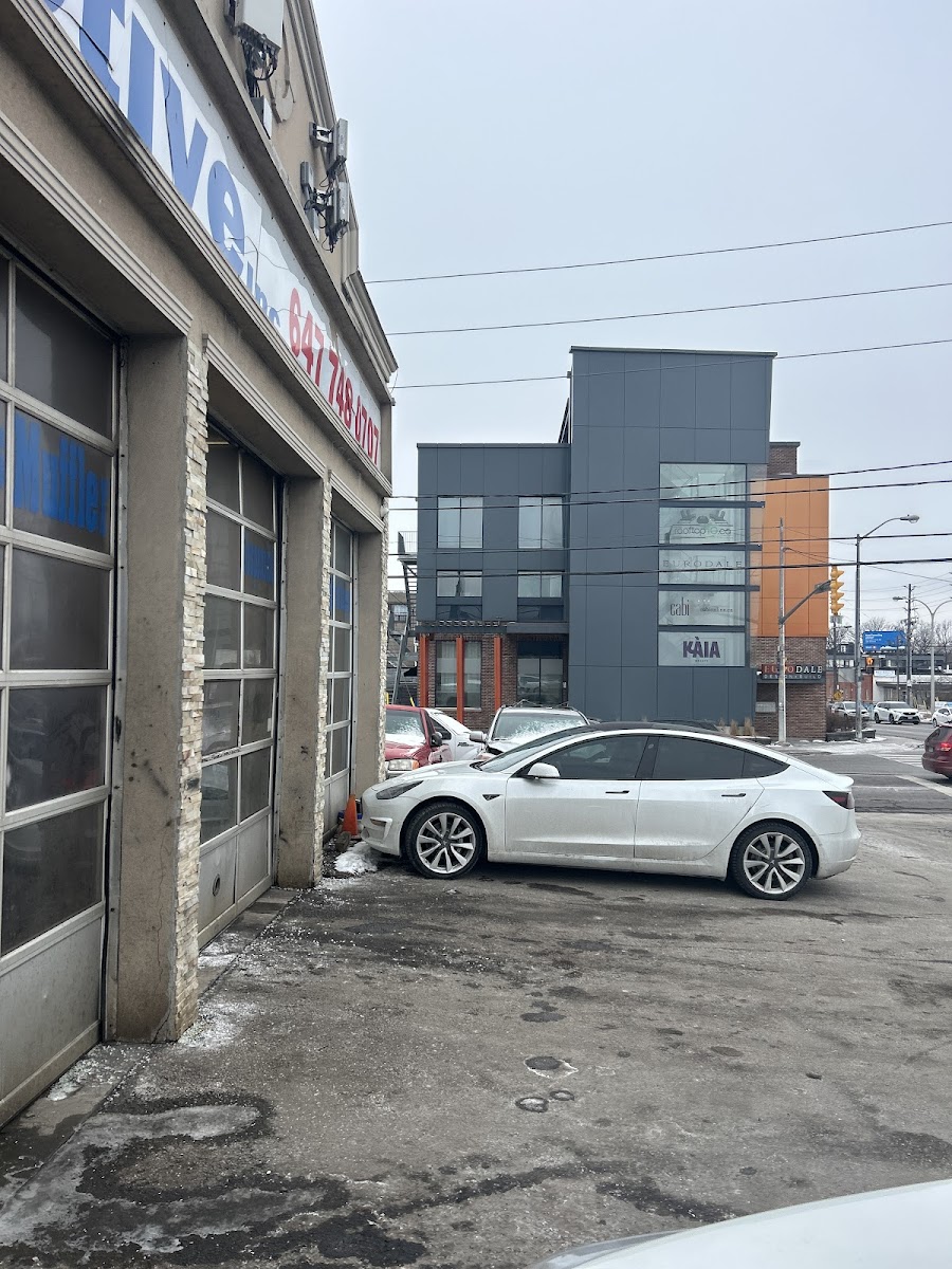 Inside the front office of Vtech Automotive with the service counter visible